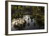 Reflections in Lily Pool, Jardin Majorelle, Owned by Yves St. Laurent, Marrakech, Morocco-Stephen Studd-Framed Photographic Print