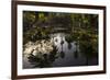 Reflections in Lily Pool, Jardin Majorelle, Owned by Yves St. Laurent, Marrakech, Morocco-Stephen Studd-Framed Photographic Print