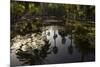 Reflections in Lily Pool, Jardin Majorelle, Owned by Yves St. Laurent, Marrakech, Morocco-Stephen Studd-Mounted Photographic Print