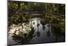Reflections in Lily Pool, Jardin Majorelle, Owned by Yves St. Laurent, Marrakech, Morocco-Stephen Studd-Mounted Photographic Print
