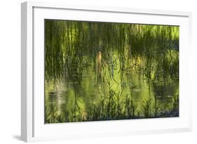 Reflections in Mirror Lake, Yosemite National Park, California, Usa-David Wall-Framed Photographic Print