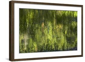 Reflections in Mirror Lake, Yosemite National Park, California, Usa-David Wall-Framed Photographic Print