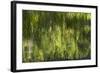 Reflections in Mirror Lake, Yosemite National Park, California, Usa-David Wall-Framed Photographic Print