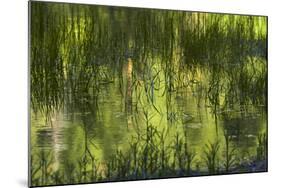 Reflections in Mirror Lake, Yosemite National Park, California, Usa-David Wall-Mounted Photographic Print