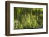 Reflections in Mirror Lake, Yosemite National Park, California, Usa-David Wall-Framed Photographic Print