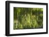 Reflections in Mirror Lake, Yosemite National Park, California, Usa-David Wall-Framed Photographic Print