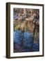 Reflections in Oak Creek at Low Water-Michael Qualls-Framed Photographic Print