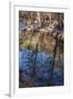 Reflections in Oak Creek at Low Water-Michael Qualls-Framed Photographic Print