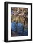 Reflections in Oak Creek at Low Water-Michael Qualls-Framed Photographic Print