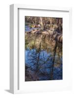 Reflections in Oak Creek at Low Water-Michael Qualls-Framed Photographic Print