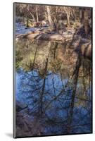 Reflections in Oak Creek at Low Water-Michael Qualls-Mounted Photographic Print