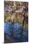 Reflections in Oak Creek at Low Water-Michael Qualls-Mounted Photographic Print