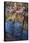 Reflections in Oak Creek at Low Water-Michael Qualls-Framed Stretched Canvas