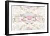 Reflections in Pink Blush-Ellie Roberts-Framed Art Print