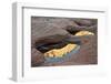 Reflections in Pools Among the Sandstone-James Hager-Framed Photographic Print