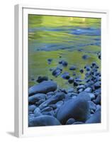 Reflections in the Elwha River, Olympic National Park, Washington, USA-Charles Gurche-Framed Premium Photographic Print