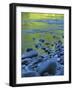 Reflections in the Elwha River, Olympic National Park, Washington, USA-Charles Gurche-Framed Photographic Print