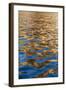 Reflections in the Late Afternoon Light on the King George River, Kimberley, Western Australia-Michael Nolan-Framed Photographic Print