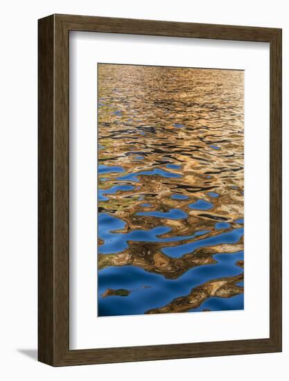 Reflections in the Late Afternoon Light on the King George River, Kimberley, Western Australia-Michael Nolan-Framed Photographic Print