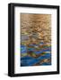 Reflections in the Late Afternoon Light on the King George River, Kimberley, Western Australia-Michael Nolan-Framed Photographic Print