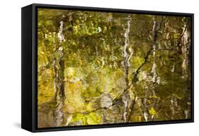 Reflections in the Little River, Smoky Mountains, Tennessee, USA-Joanne Wells-Framed Stretched Canvas