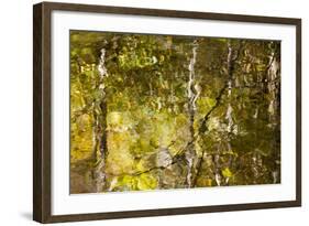 Reflections in the Little River, Smoky Mountains, Tennessee, USA-Joanne Wells-Framed Photographic Print