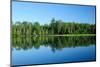Reflections in the Wilderness-wildnerdpix-Mounted Photographic Print