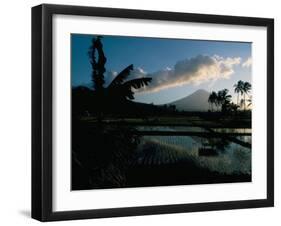 Reflections in Water of Rice Paddies, Amed Village, Island of Bali, Indonesia, Southeast Asia-Bruno Barbier-Framed Photographic Print