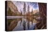 Reflections Inside The Valley Late Winter, Yosemite National Park-Vincent James-Stretched Canvas