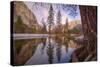 Reflections Inside The Valley Late Winter, Yosemite National Park-Vincent James-Stretched Canvas