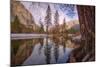 Reflections Inside The Valley Late Winter, Yosemite National Park-Vincent James-Mounted Photographic Print