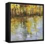 Reflections of a Changing Season-Tim Howe-Framed Stretched Canvas
