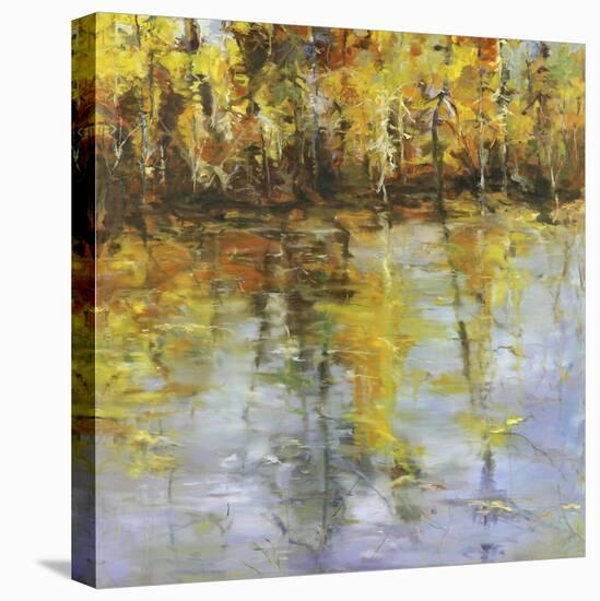 Reflections of a Changing Season-Tim Howe-Stretched Canvas