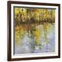 Reflections of a Changing Season-Tim Howe-Framed Giclee Print