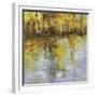 Reflections of a Changing Season-Tim Howe-Framed Giclee Print