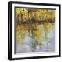 Reflections of a Changing Season-Tim Howe-Framed Giclee Print