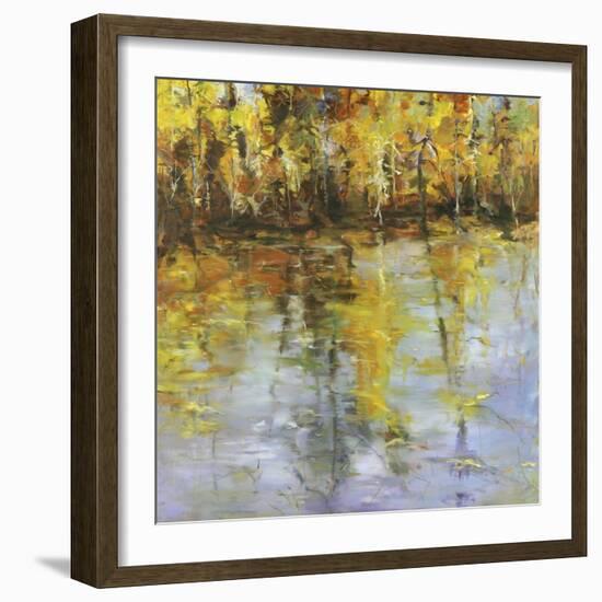 Reflections of a Changing Season-Tim Howe-Framed Premium Giclee Print