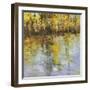 Reflections of a Changing Season-Tim Howe-Framed Premium Giclee Print