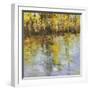 Reflections of a Changing Season-Tim Howe-Framed Premium Giclee Print