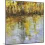 Reflections of a Changing Season-Tim Howe-Mounted Premium Giclee Print