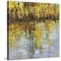 Reflections of a Changing Season-Tim Howe-Stretched Canvas