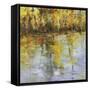 Reflections of a Changing Season-Tim Howe-Framed Stretched Canvas