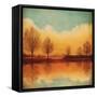 Reflections of Autumn I-Neil Thomas-Framed Stretched Canvas