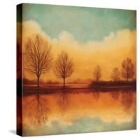 Reflections of Autumn I-Neil Thomas-Stretched Canvas