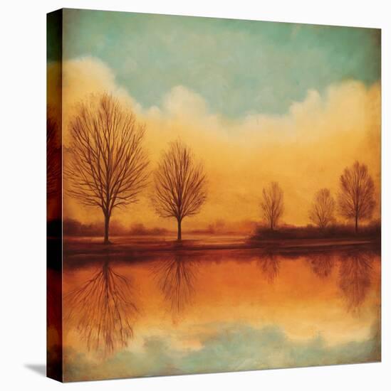 Reflections of Autumn I-Neil Thomas-Stretched Canvas