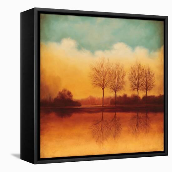 Reflections of Autumn II-Neil Thomas-Framed Stretched Canvas