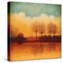 Reflections of Autumn II-Neil Thomas-Stretched Canvas