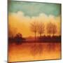 Reflections of Autumn II-Neil Thomas-Mounted Art Print