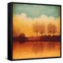 Reflections of Autumn II-Neil Thomas-Framed Stretched Canvas