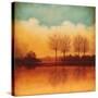 Reflections of Autumn II-Neil Thomas-Stretched Canvas